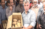 اعتراض سیب زمینی کاران گلستانی به قیمت پائين خرید توافقی سیب زمینی