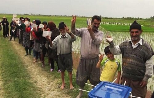 شالی‌کاران گلستان در اراضی کشاورزی به نامزد‌های انتخابات ۱۴۰۰ رای دادند