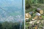 کارزار دوستداران محیط زیست با درخواست توقف ساخت تله‌کابین در جنگل ناهارخوران
