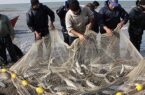 صید حدود ۴۰ تن ماهی استخوانی از دریای خزر