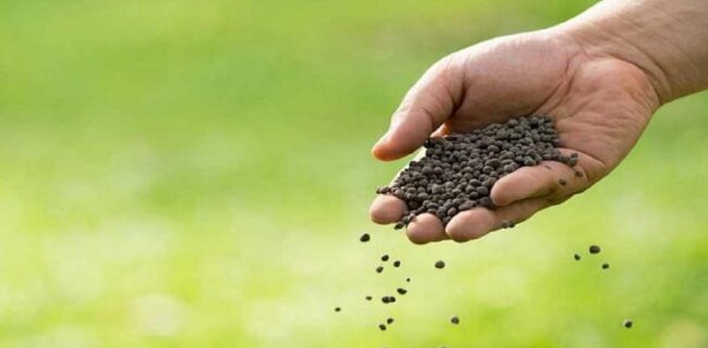 افزایش سهمیه کود فسفات کشاورزان به شرط آزمایش خاک