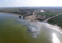 کام تلخ‌ خلیج گرگان